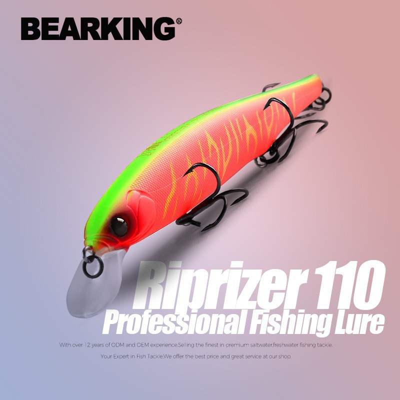 Fishing Lure Jerkbait - BEARKING-Appât Élpour la pêche à la