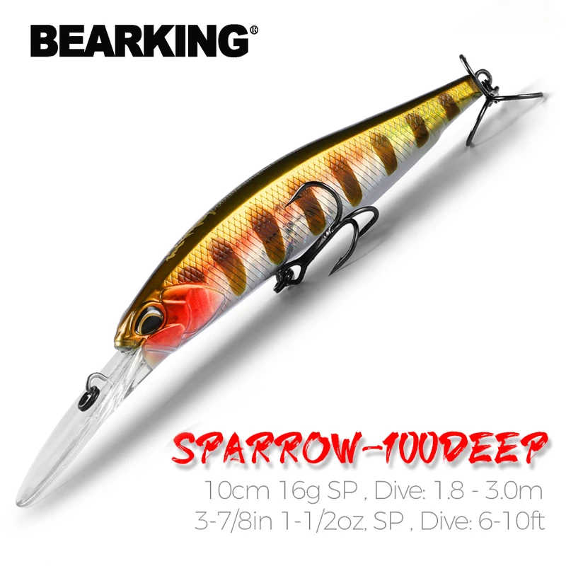 BEARKING 10 cm 16g Super aiman - Fishing Lure Jerkbait avis et prix